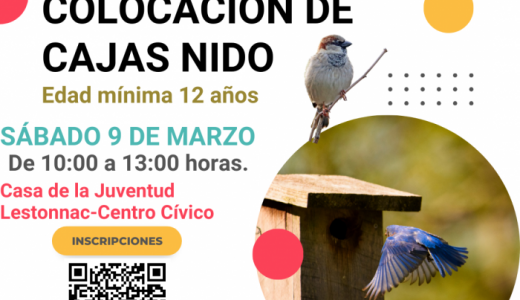 cartel taller