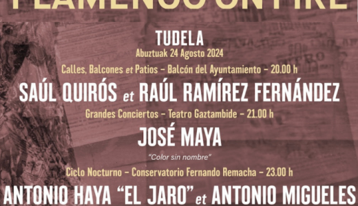 Flamenco on fire en Tudela