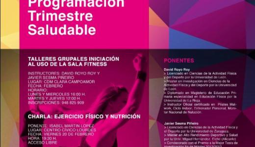 Trimestres saludable 2015