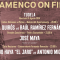 Flamenco on fire en Tudela