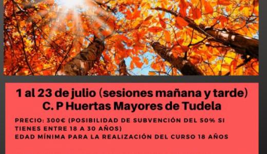 Cartel Monitor 2019