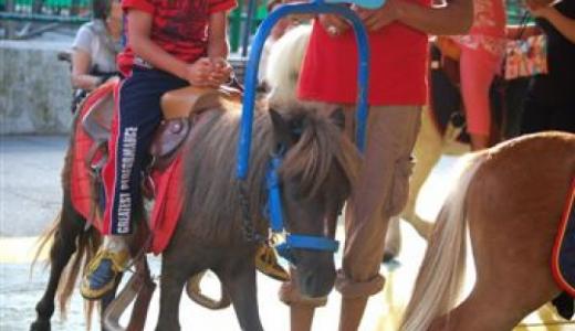 Ferias y ponies