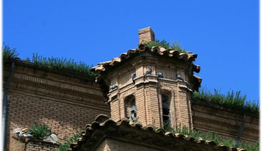 Palomas en edificios del Casco Antiguo