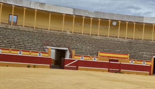 Plaza toros Tudela