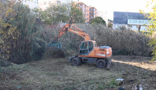 Trabajos desbroce márgenes Queiles
