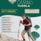 Camino de Santiago 2023 - 2