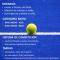 Padel social 2024