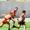 Rugby libre 2
